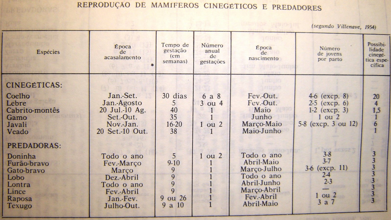 [DSC05950+-+Cópia.JPG]