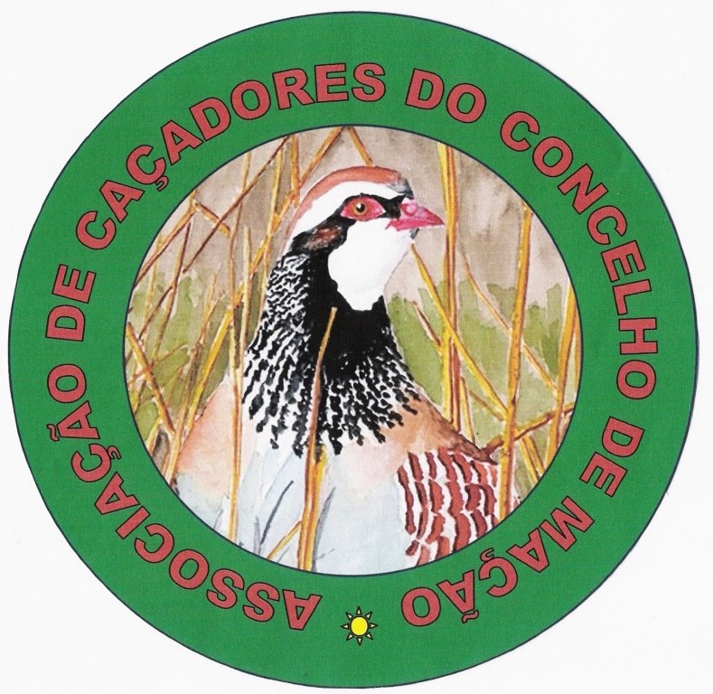 [Digitalizar0003.jpg]