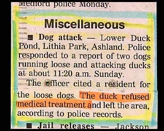 Tough duck