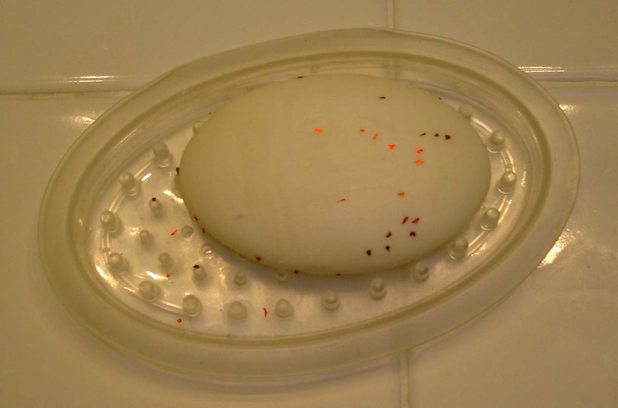 [glitter+soap1.jpg]