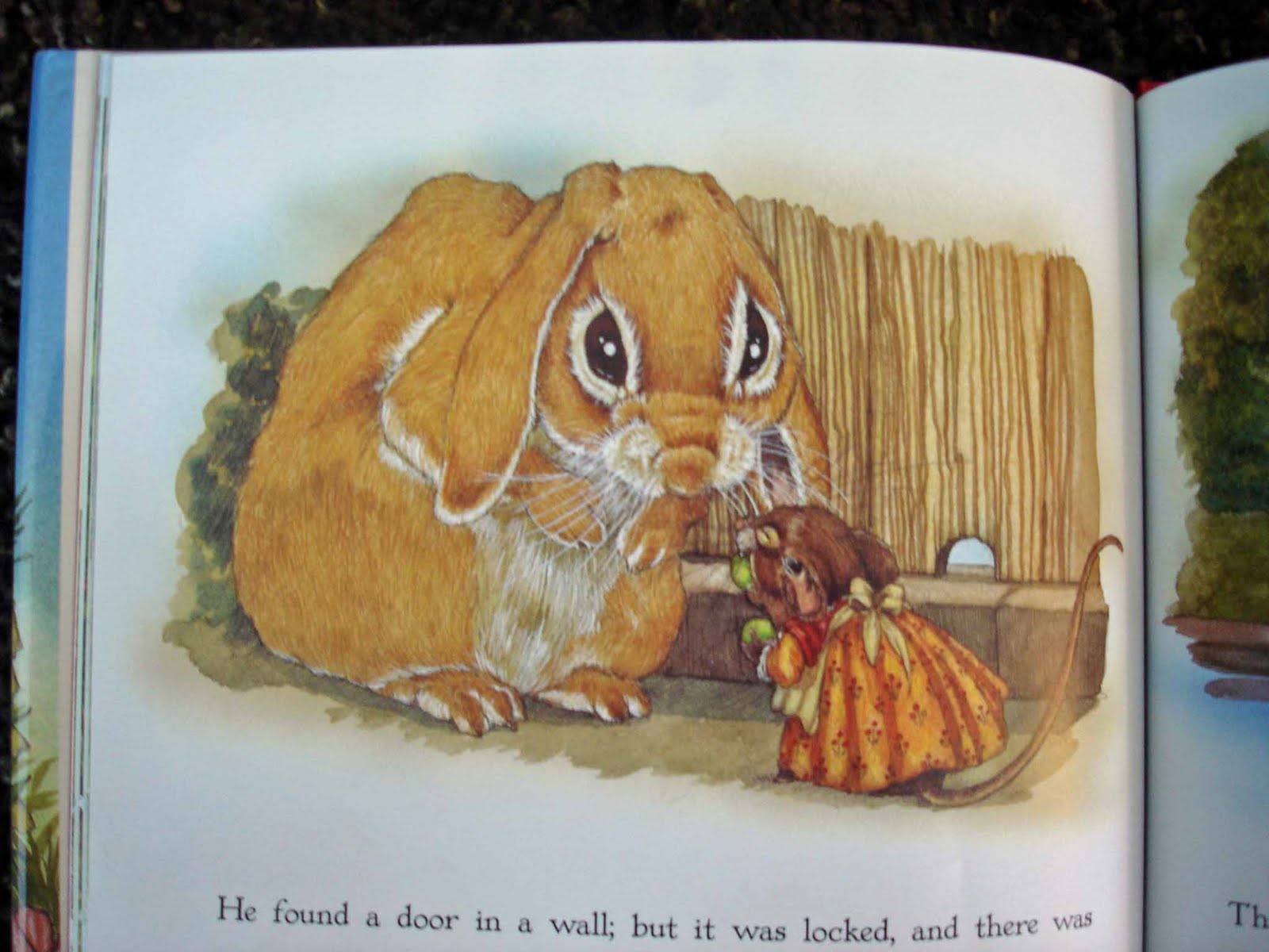 [peterrabbitbook.jpg]