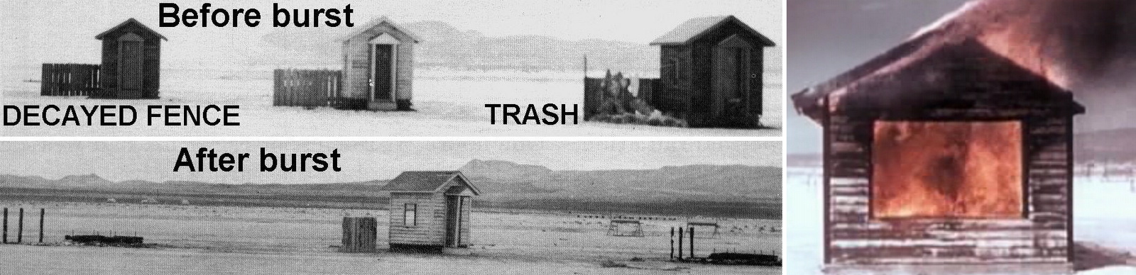 [1953+Nevada+12+cal+per+sq+cm.JPG]