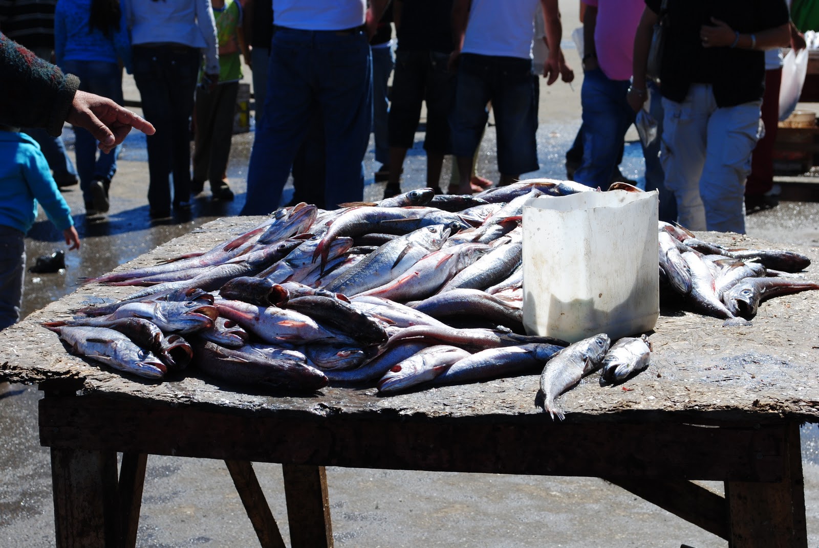 Struan and Anna in Chile: Valparaiso