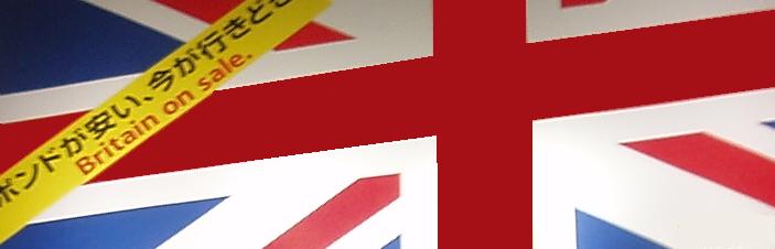 Mitzi♪にほんご を ならって います!