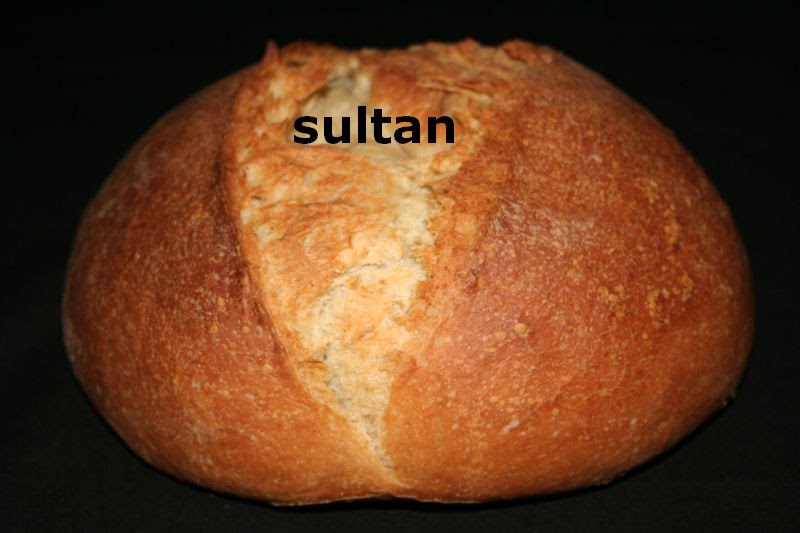 45 dakikada evde sütlü mayalı ekmek yapımı - SULTAN YEMEK TARİFLERİ