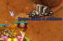 brokenshin.JPG