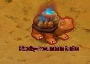 turtle.JPG