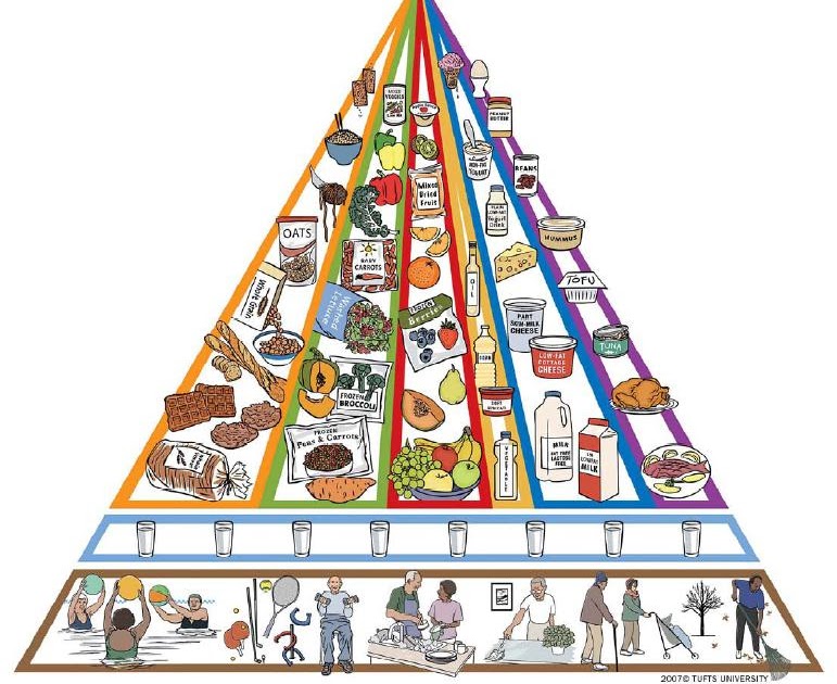 Great Healthy Food: New food pyramid for aging