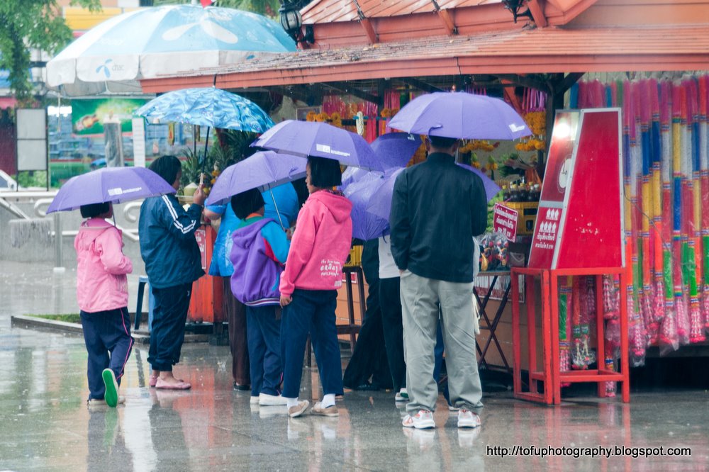 Tofu Photography Using umbrellas