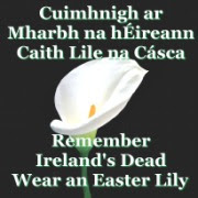 Honour Irelands Patriot Dead