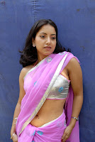 Tollywood Actress Preethi Mehra Hot Saree Navel Show