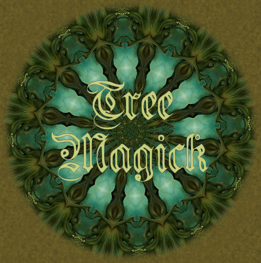 SilentOwl Celtic Tree Zodiac. This is just a bit of fun.