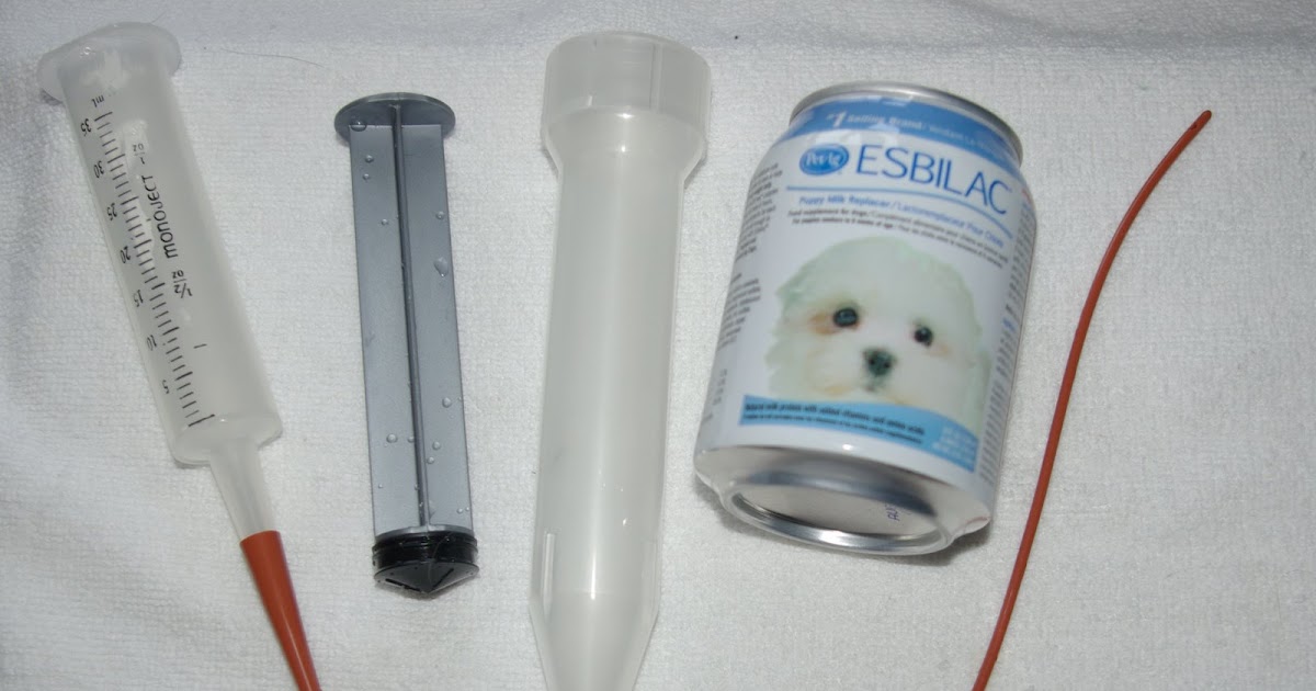 Tube Feeding Puppies Chart