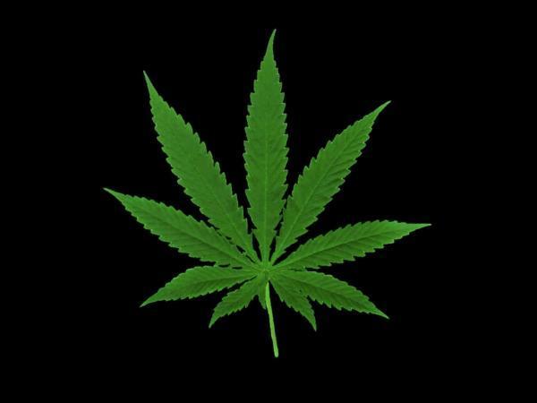 ganja.jpg