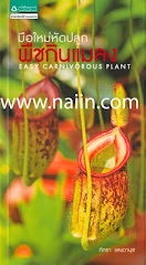 Easy Carnivorous Plant