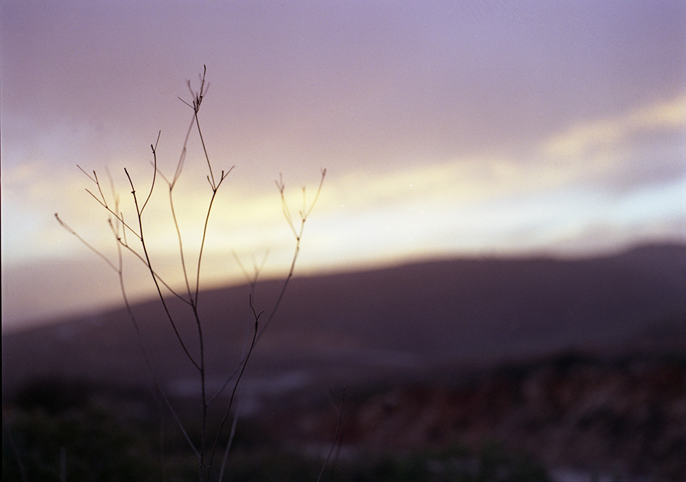 [img876.jpg]