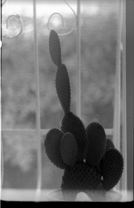 [post-11867-1224686120.jpg]