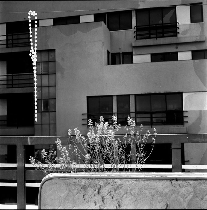 [post-11867-1234518630.jpg]