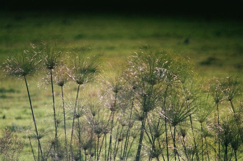 [33860006+(Medium).JPG]