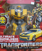 TransFormerS - MoRe ThaN MeeTs tHe eYe