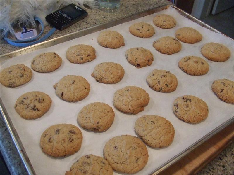Musings of an MBA Housewife Hundred Year Old Cookies