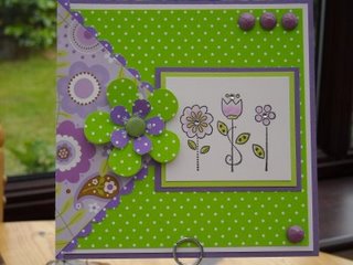 [Top5-LilyPussCards]