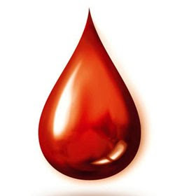 Ramuan Obat Tradisional Untuk Sakit Kurang Darah (Anemia)