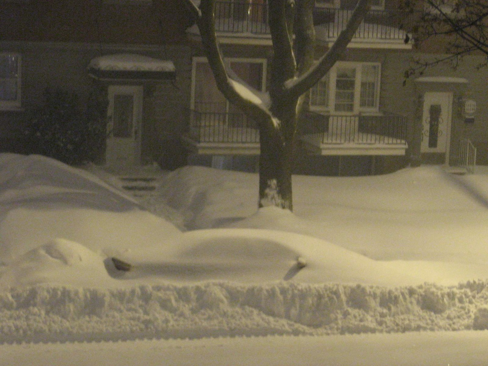 [Jour+de+neige+056_2.jpg]