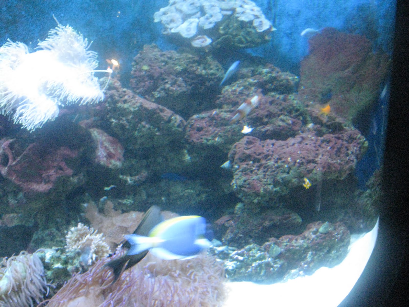 Your Career Partner Practical3g Aquaria KLCC best viewing of