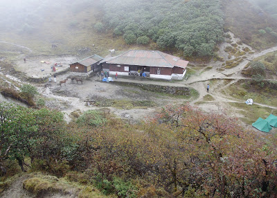 dzongri-goecha-la-trek