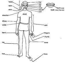 SMP NEGERI 3 TANJUNGPINANG: September 2010