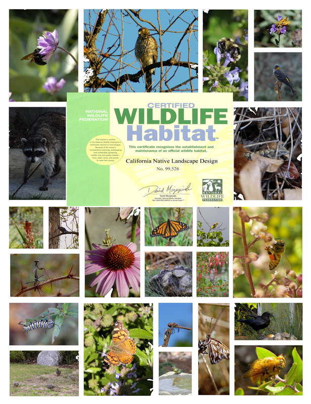 California Native Garden Design Create a Certified Wildlife Habitat