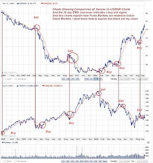 Cmp forex meaning