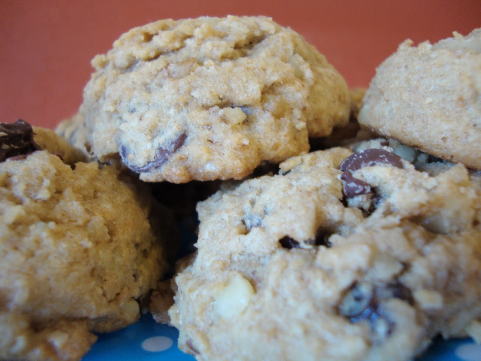 Indulge Walnut Raisin Chocolate Chip Oat Bran Cookies