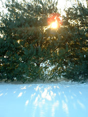 Sunny Morning