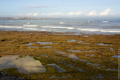 Марокко. Касабланка. Morocco. Casablanca