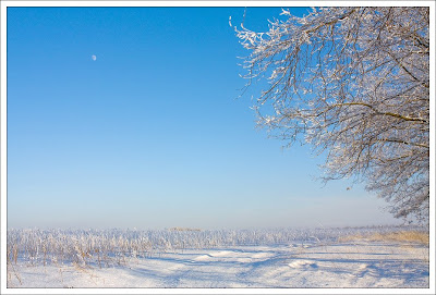 Иней (поле за Липцами)