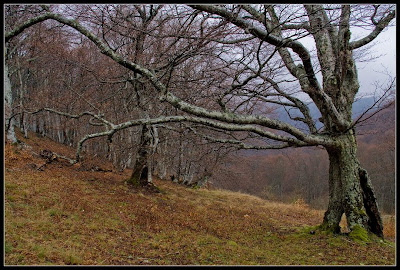 Караби-яйла