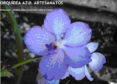 ORQUÍDEA AZUL ARTESANATOS