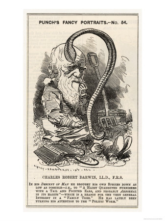 [10005977~Charles-Darwin-after-Charting-the-Descent-of-Man-He-Goes-Even-Lower-and-Studies-Worms-Posters.jpg]