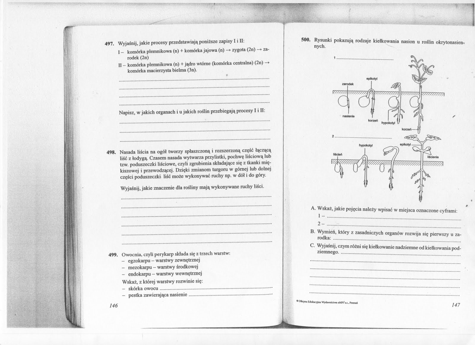 Nagonasienne I Okrytonasienne Test Biologiczno-Chemiczna: Rośliny nasienne
