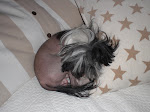 ZZZzzzzz