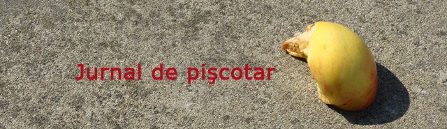 jurnal de pişcotar