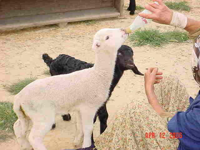 Hayatımızda ki Güzellikler