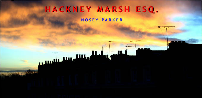 HACKNEY MARSH