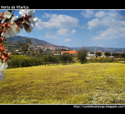O CANTINHO DO Horta da Vilariça