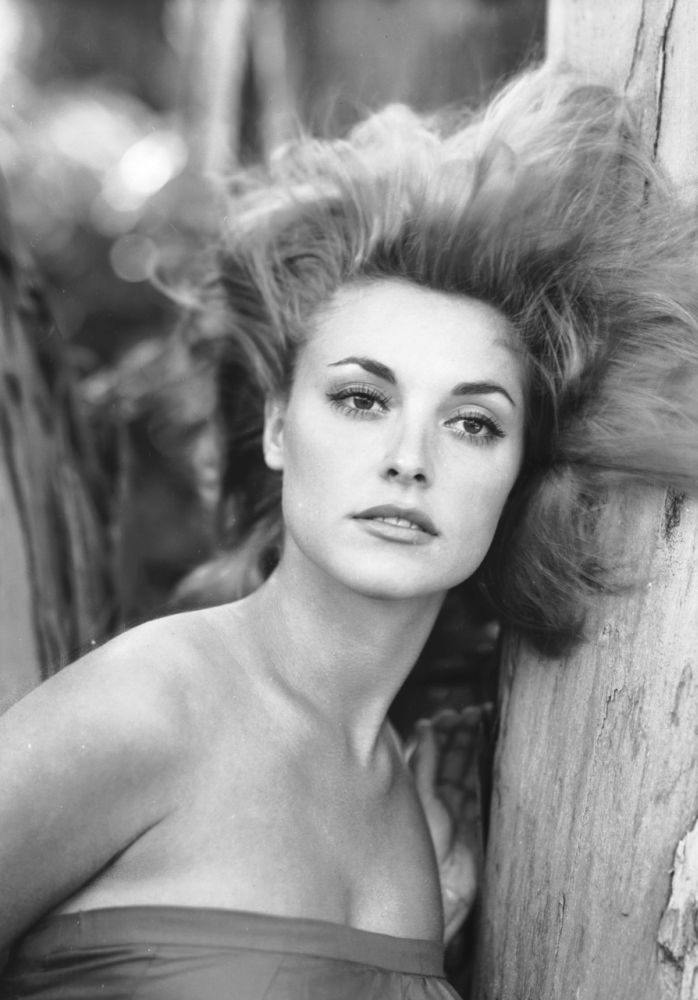 Sharon Tate Sharon Tate