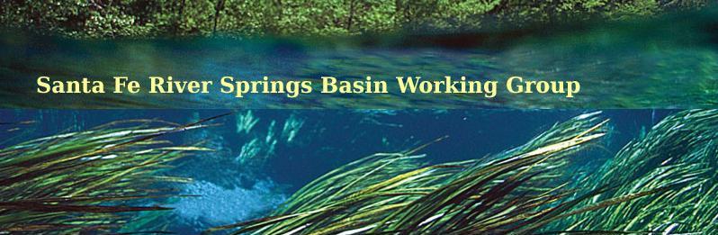 Santa Fe River Springs Basin Working Group