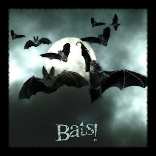 Download Screechy Bats Halloween Wallpaper
