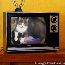 And how's that working for you???